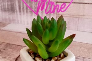 Flower pot with “Be Mine” topper